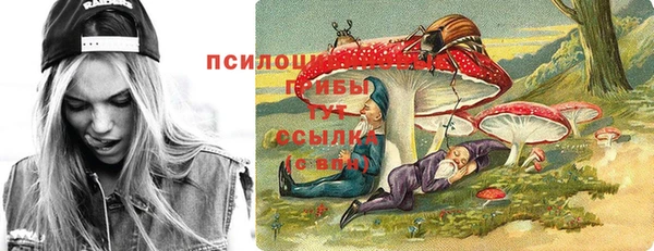 стаф Вязники
