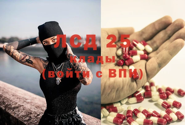 spice Бикин