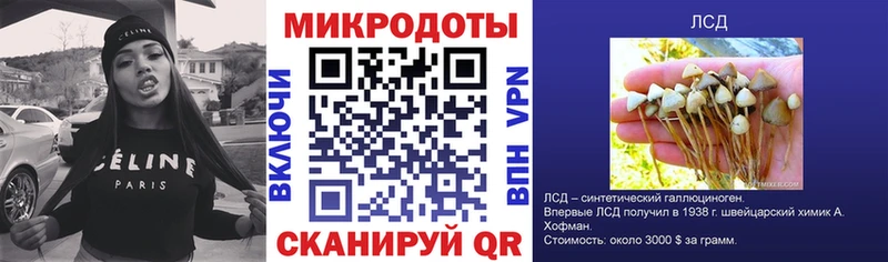 Псилоцибиновые грибы ЛСД Карасук