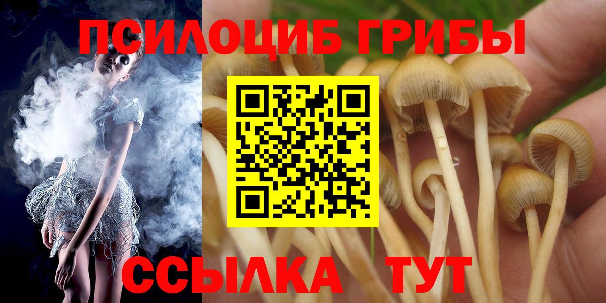 ГАШ  Конопля  A PVP СОЛЬ   Героин  Карасук  Мефедрон  