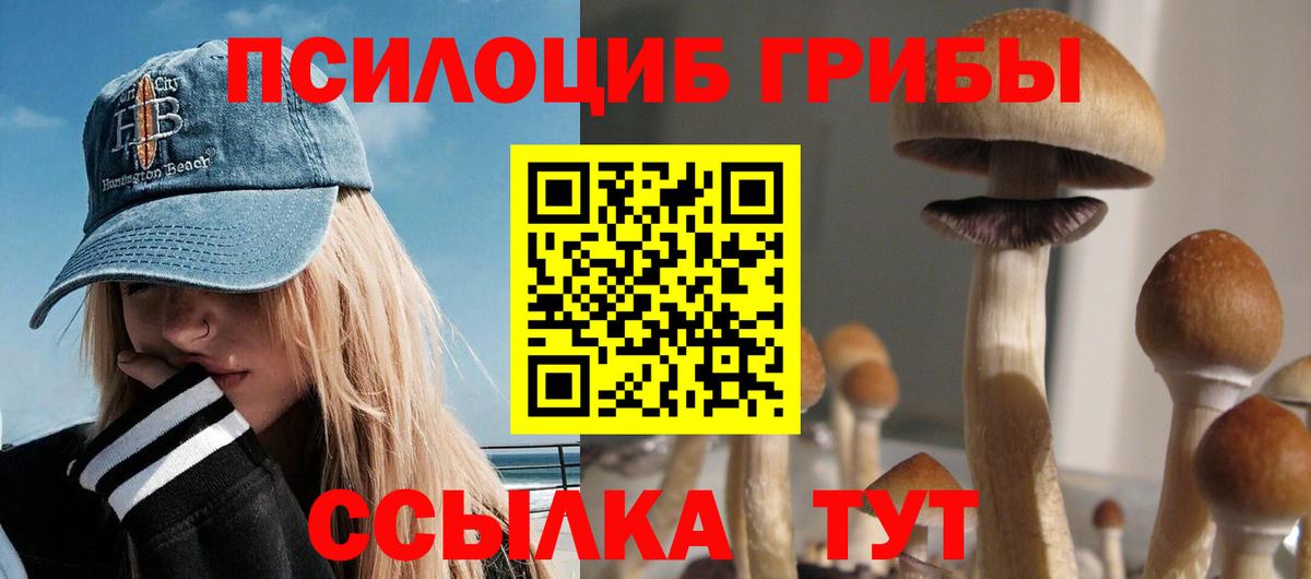 Карасук  Галлюциногенные грибы ЛСД  Вход с VPN  Псилоцибиновые грибы ЛСД 